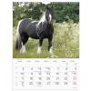 V&aelig;gkalender, Mayland Photo, HESTE, 295 x394mm &aring;r: 2027, Flerfarvet,