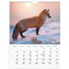 V&aelig;gkalender, Mayland Photo, VERDENS DYR 295x385mm &aring;r: 2027, Flerfarvet,