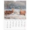 V&aelig;gkalender, Mayland Photo, VERDENS DYR 295x385mm &aring;r: 2027, Flerfarvet,