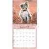V&aelig;gkalender, Mayland Photo, HundeHVALPE 160x164mm &aring;r: 2027, Flerfarvet,