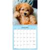 V&aelig;gkalender, Mayland Photo, HundeHVALPE 160x164mm &aring;r: 2027, Flerfarvet,