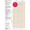 &Aring;rskalender, Mayland Projekt Planner 210x298mm &aring;r: 2029, Flerfarvet,