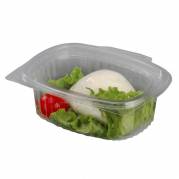 Plastbakke, m/h&aelig;ngslet l&aring;g 250 ml,107x78x35mm A-PET, transparent, pakke a 50 stk