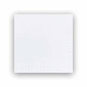 Frokostserviet, Duni, Ecoecho, tissue hvid 330mmx330mm, karton a 1000 stk