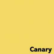 Image, Coloraction, Canary/Deep Yellow Kopipapir, tr&aelig;fri ECF, 80g/m2, 210mm x 297mm, A4, Smal bane,