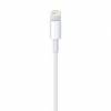 Apple Lightning to USB Cable, White (0.5M)