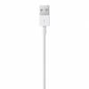 Apple Lightning to USB Cable, White (0.5M)