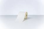 Thermal transfer continuous synthetic label 100mmx 90m. (4)