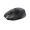 Ozaa Compact Wireless Mouse ECO