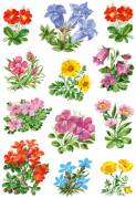 Herma stickers Decor blomster (3)