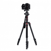 ROLLEI Compact Traveler No. 2