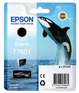 T76014010 Photo Black Ink Cartridge