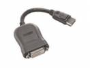 Lenovo DisplayPort han -> DVI-D hun 20 cm Grå