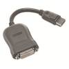 Lenovo DisplayPort han -> DVI-D hun 20 cm Grå