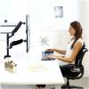 Fellowes Platinum Monitor Arm - monter