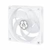 ARCTIC P12 PWM PST Fan 1-pack Hvid Transparent 120 mm