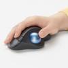 Logitech ERGO M575 for Business - styr