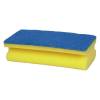 Skuresvamp, 14,3x6,9x4,5cm, bl&aring;, nylon/polyester/polyether, medium skureeffekt