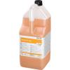 Sanitetsrens, Ecolab MAXX  Into Alk 2, 5 l