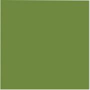 Frokostserviet, Duni, 3-lags, 1/4 fold, 33x33cm, leaf green, nyfiber *Denne vare tages ikke retur*
