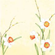 Middagsserviet, Dunisoft, Daffodil Joy, 1/4 fold, 40x40cm, hvid *Denne vare tages ikke retur*