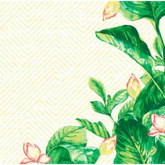 Middagsserviet, Dunisoft Banas, 1/4 fold, 40x40cm, gr&Atilde;&cedil;n, airlaid *Denne vare tages ikke retur*