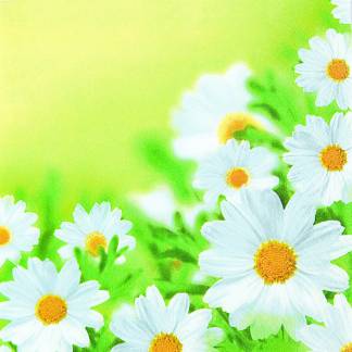 Frokostserviet, 3-lags, 1/4 fold, 33x33cm, flerfarvet, nyfiber, tusindfryd