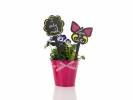 Chalkboard Securit Silhouette Butterfly 5stk/pak