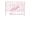 Kasserapport, Mayland, hvid, 228x297mm