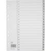 Register, Esselte, A4,210x297mm, 1-20 gr&aring; Pakke med 10 s&aelig;t