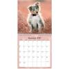 Mayland 27066410 hundehvalpe v&aelig;gkalender 16x16,4cm