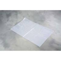 Flad pose, 70 &micro;m, 560 x 890 mm, LD-PE transparent, karton a 100 F&oslash;devaregodkendt