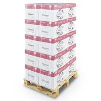 Pioneer, office paper, white, Kopipapir tr&aelig;fri ECF, 100g/m2, 420mm x 297mm, A3 Bred bane, pakke a 500 ark, FSC Mix 70\%