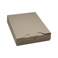 Arkiv&aelig;ske, Master'in Access indre dim: 320 x 245 x 58 mm, 1-lags E-flute, 2.000 mm, FEFCO 0426, Testliner brun, bundt a 50 stk, FSC Mix 70\%