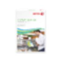 Xerox, Premium NeverTear adhesive Permanent Gloss White, Gloss, smooth selvkl&aelig;bende film, permanent adhesive Polyester, white, 230g/m2, 53&micro;m 210mm x 297mm, A4, &aelig;ske a 50 ark 007R92031