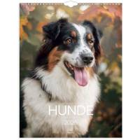 Kalender, Mayland, Hund &aring;r: 2026, assorteret,, FSC Mix Credit