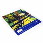 Xerox, Premium NeverTear Synthetic Light Frost, translucent, mat, smooth Polyester, transparent, 125g/m2, 95&micro;m 210mm x 297mm, A4, pakke a 100 ark 003R92341