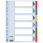 Faneblad, Esselte Mylar, A4,210x297mm assorteret kasse a 20 sets