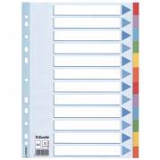 Faneblad, Esselte, A4,210x297mm, 12-delt assorteret Pakke med 10 s&aelig;t