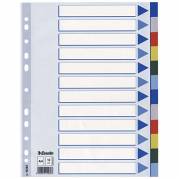 Faneblad, Esselte, A4,210x297mm, 12-delt assorteret Pakke med 10 s&aelig;t