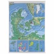Plakat, Naga, assorteret, 970x1370 Danmark