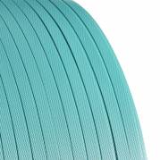 Strapb&aring;nd, Master'in Expert, PET, 12.50 x 0.600 mm x 2500.00 m kernediameter: 406 mm, gr&oslash;n brudstyrke op til 290 kg rullev&aelig;gt: 20.11 kg, &aelig;ske a 1 rulle palle a 48 ruller