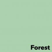 Image, Coloraction, Forest/Pastel Green Kopipapir, tr&aelig;fri ECF, 120g/m2, 210mm x 297mm, A4, Smal bane, pakke a 250 ark FSC Mix Credit EU-milj&oslash;m&aelig;rke