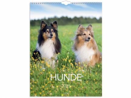 Vægkalender Hunde 2025 