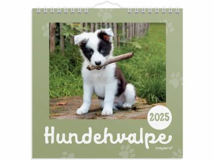 Vægkalender mini Hundehvalpe 2025 