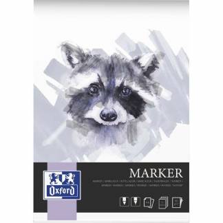 Oxford Kunstblok til filtpen oxford A4/15 ark 180 g limet