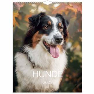 Kalender, Mayland, Hund &aring;r: 2026, assorteret,, FSC Mix Credit