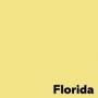 losqxl_mi2_eshop_image_coloraction__florida