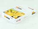 Kopipapir Xerox Colotech+ 100g A4 4 huller 500ark/pak
