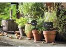 Chalkboard Securit Silhouette rectangle 5stk/pak